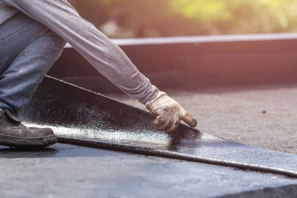 Wet basement repair process in Portage, WI